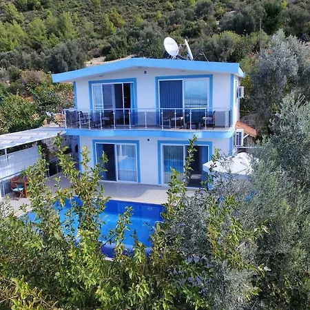 Super Luxury With Private Pool-damla Villa Bezirgan