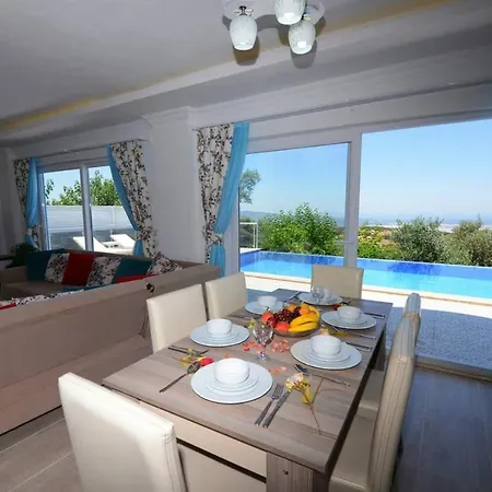 Super Luxury With Private Pool-damla Villa Bezirgan